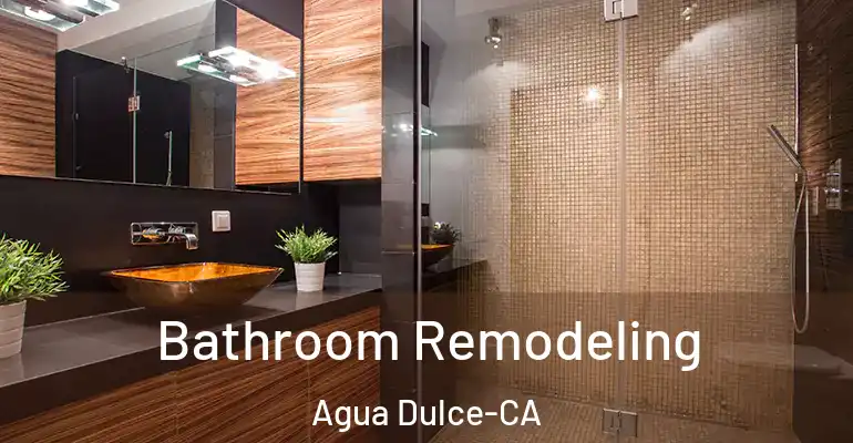 inner Bathroom imggen Bathroom Remodeling Agua Dulce-CA