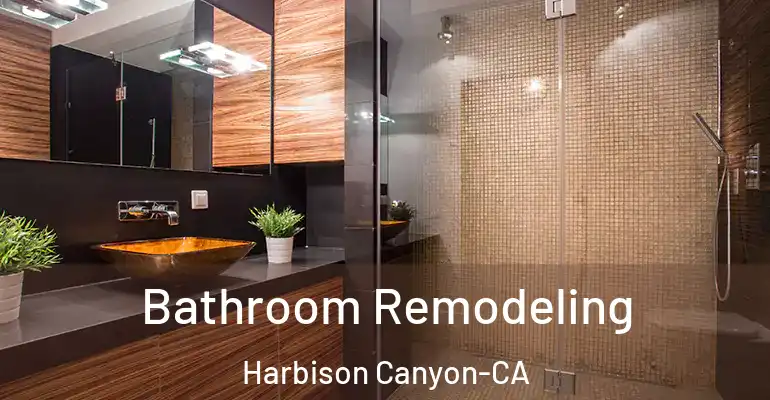 inner Bathroom imggen Bathroom Remodeling Harbison Canyon-CA