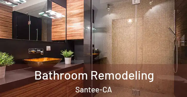 inner Bathroom imggen Bathroom Remodeling Santee-CA