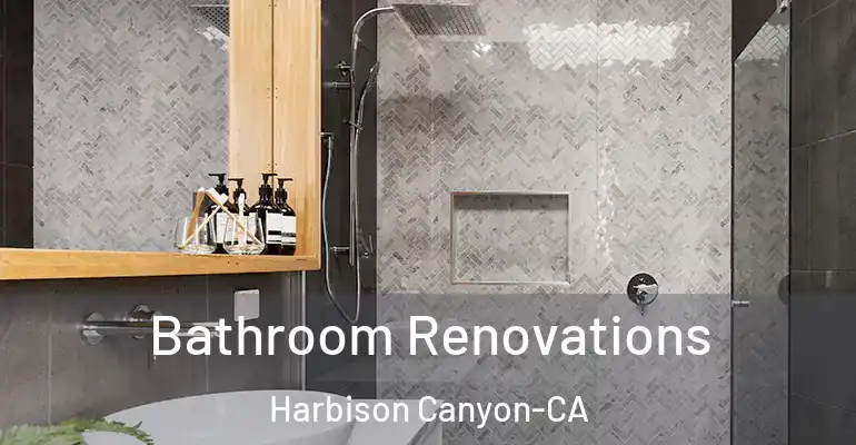 inner Bathroom imggen Bathroom Renovations Harbison Canyon-CA
