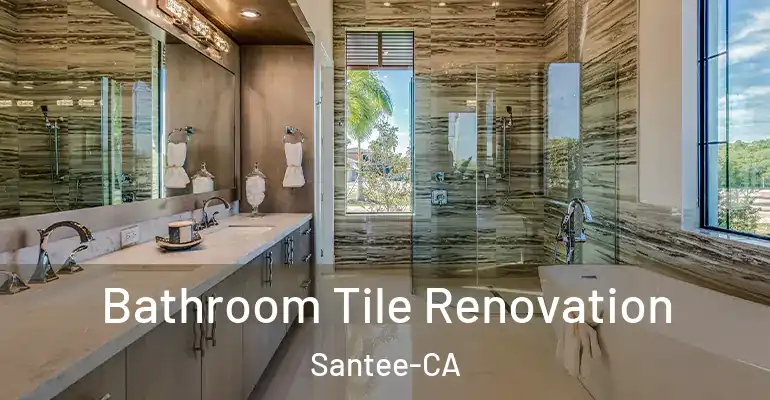 inner Bathroom imggen Bathroom Tile Renovation Santee-CA