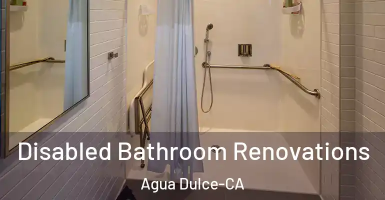 inner Bathroom imggen Disabled Bathroom Renovations Agua Dulce-CA