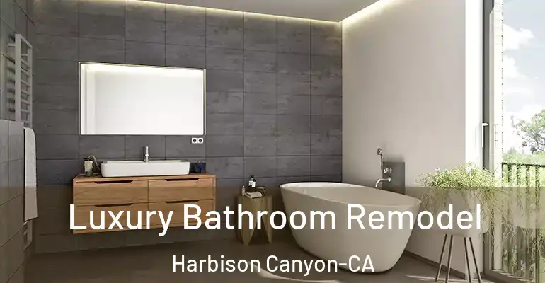 inner Bathroom imggen Luxury Bathroom Remodel Harbison Canyon-CA