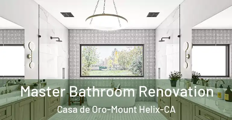 inner Bathroom imggen Master Bathroom Renovation Casa de Oro-Mount Helix-CA