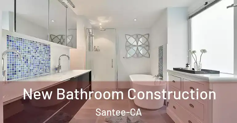 inner Bathroom imggen New Bathroom Construction Santee-CA