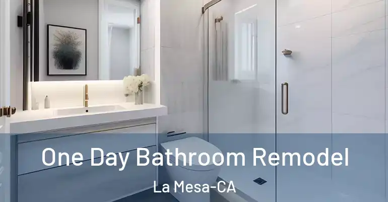 inner Bathroom imggen One Day Bathroom Remodel La Mesa-CA