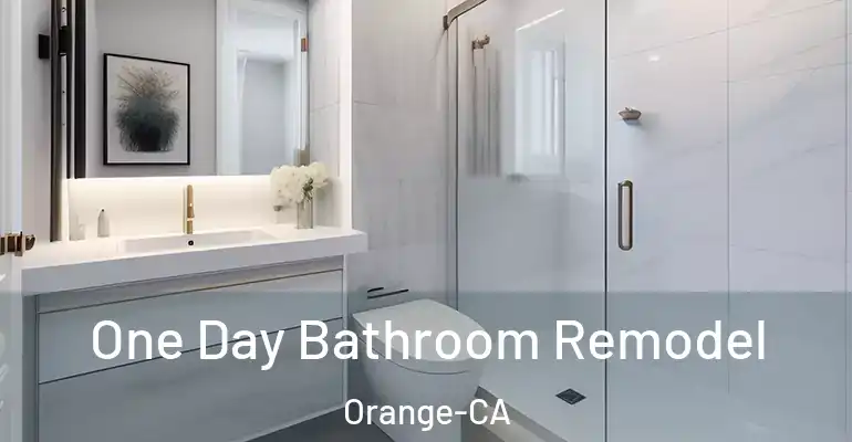 inner Bathroom imggen One Day Bathroom Remodel Orange-CA