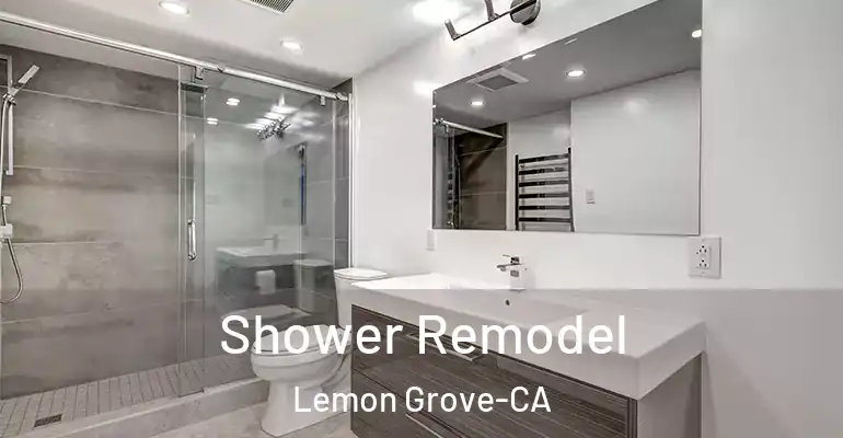 inner Bathroom imggen Shower Remodel Lemon Grove-CA