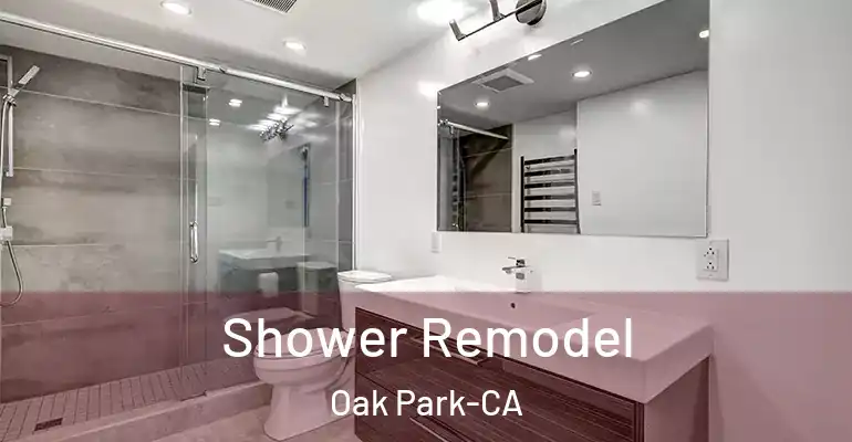 inner Bathroom imggen Shower Remodel Oak Park-CA