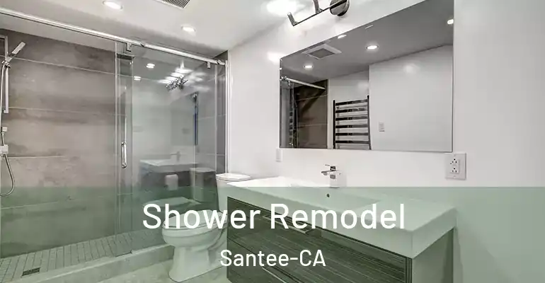 inner Bathroom imggen Shower Remodel Santee-CA