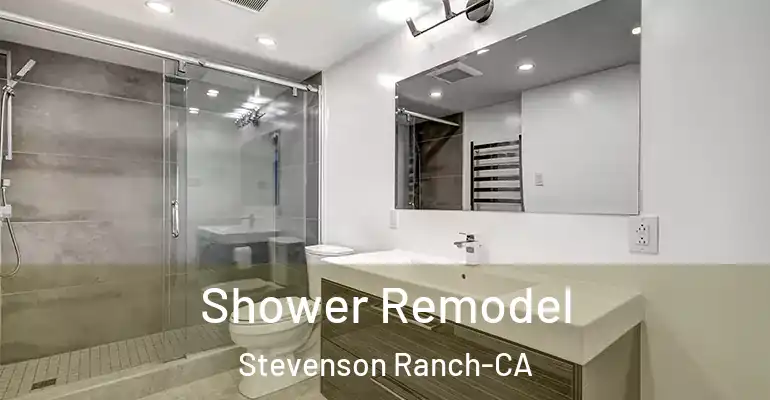 inner Bathroom imggen Shower Remodel Stevenson Ranch-CA