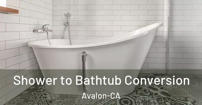 inner Bathroom imggen Shower to Bathtub Conversion Avalon-CA