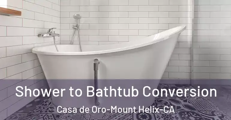 inner Bathroom imggen Shower to Bathtub Conversion Casa de Oro-Mount Helix-CA