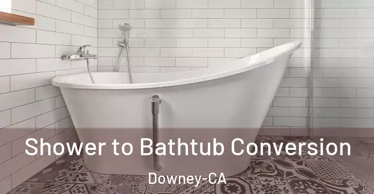 inner Bathroom imggen Shower to Bathtub Conversion Downey-CA