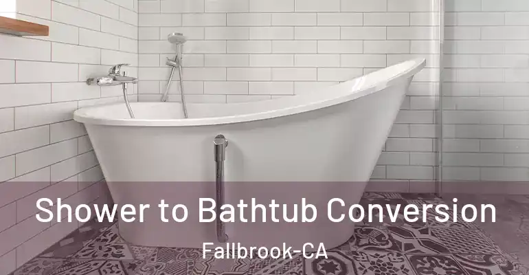 inner Bathroom imggen Shower to Bathtub Conversion Fallbrook-CA