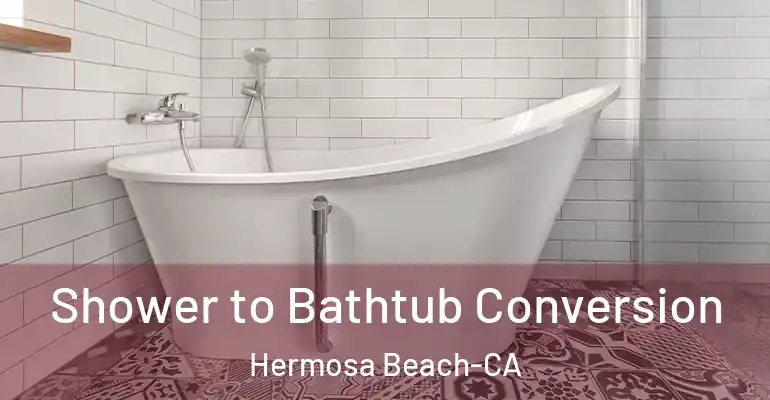 inner Bathroom imggen Shower to Bathtub Conversion Hermosa Beach-CA