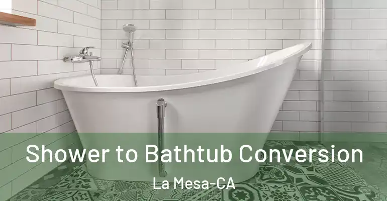 inner Bathroom imggen Shower to Bathtub Conversion La Mesa-CA