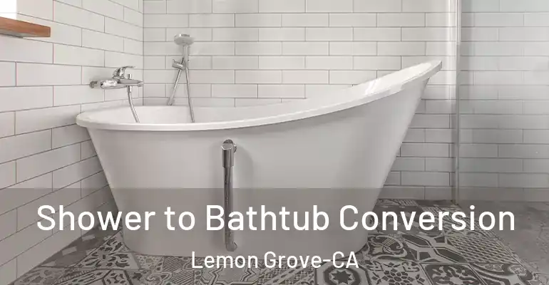 inner Bathroom imggen Shower to Bathtub Conversion Lemon Grove-CA