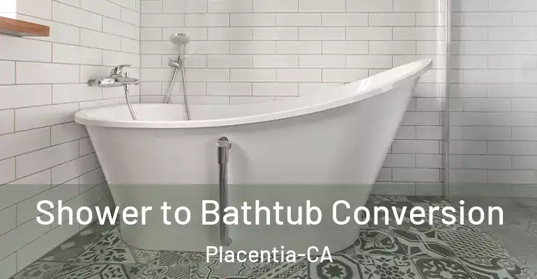 inner Bathroom imggen Shower to Bathtub Conversion Placentia-CA