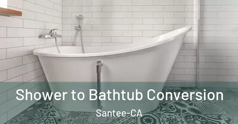 inner Bathroom imggen Shower to Bathtub Conversion Santee-CA