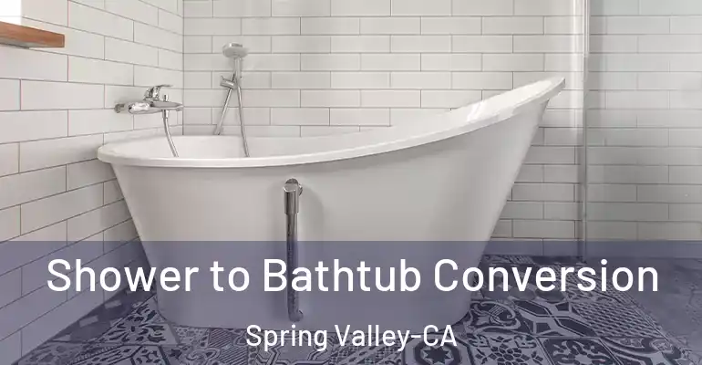 inner Bathroom imggen Shower to Bathtub Conversion Spring Valley-CA