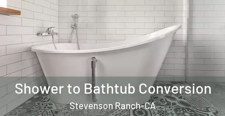inner Bathroom imggen Shower to Bathtub Conversion Stevenson Ranch-CA