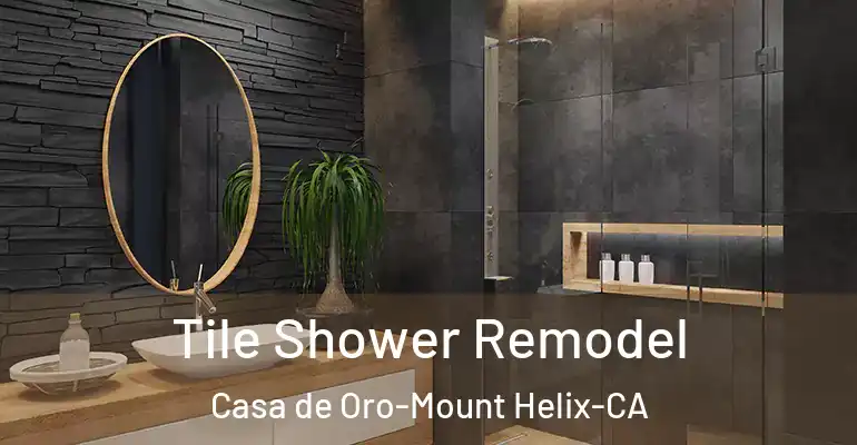 inner Bathroom imggen Tile Shower Remodel Casa de Oro-Mount Helix-CA