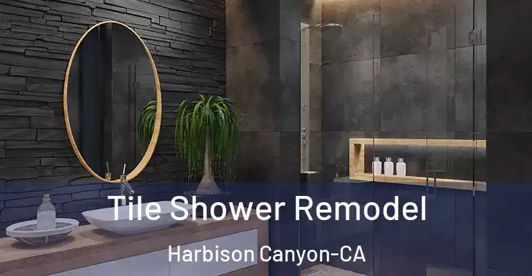 inner Bathroom imggen Tile Shower Remodel Harbison Canyon-CA