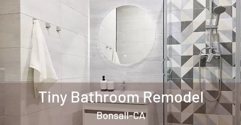 inner Bathroom imggen Tiny Bathroom Remodel Bonsall-CA