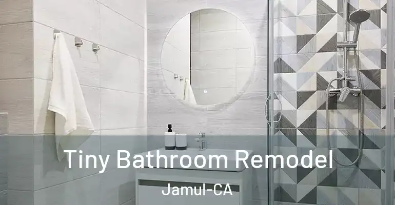 inner Bathroom imggen Tiny Bathroom Remodel Jamul-CA