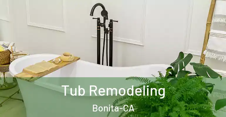 inner Bathroom imggen Tub Remodeling Bonita-CA