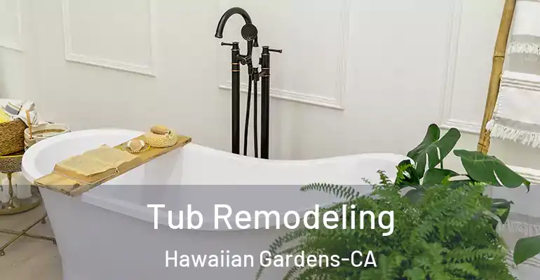 inner Bathroom imggen Tub Remodeling Hawaiian Gardens-CA