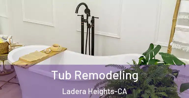 inner Bathroom imggen Tub Remodeling Ladera Heights-CA