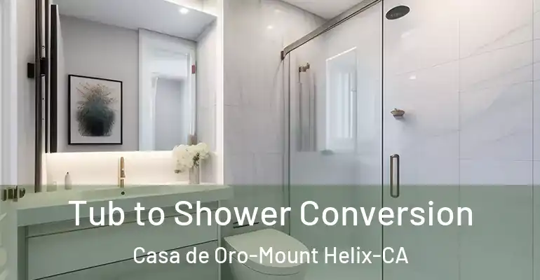 inner Bathroom imggen Tub to Shower Conversion Casa de Oro-Mount Helix-CA