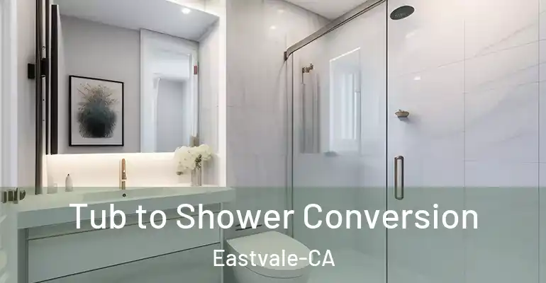 inner Bathroom imggen Tub to Shower Conversion Eastvale-CA