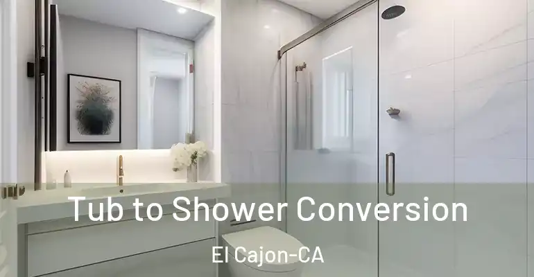 inner Bathroom imggen Tub to Shower Conversion El Cajon-CA