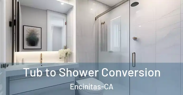 inner Bathroom imggen Tub to Shower Conversion Encinitas-CA