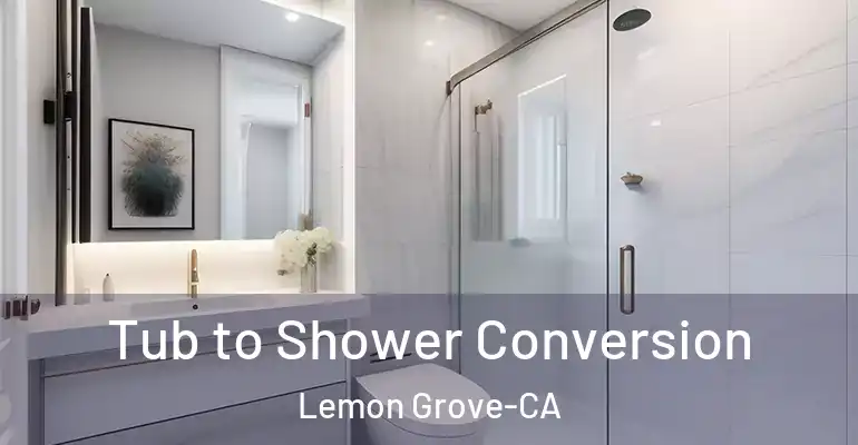 inner Bathroom imggen Tub to Shower Conversion Lemon Grove-CA