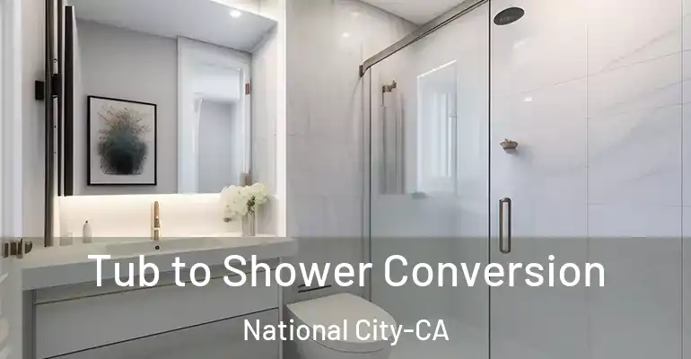 inner Bathroom imggen Tub to Shower Conversion National City-CA