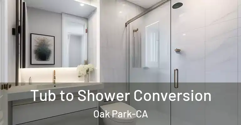 inner Bathroom imggen Tub to Shower Conversion Oak Park-CA