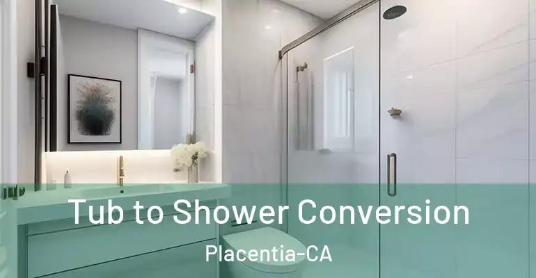 inner Bathroom imggen Tub to Shower Conversion Placentia-CA