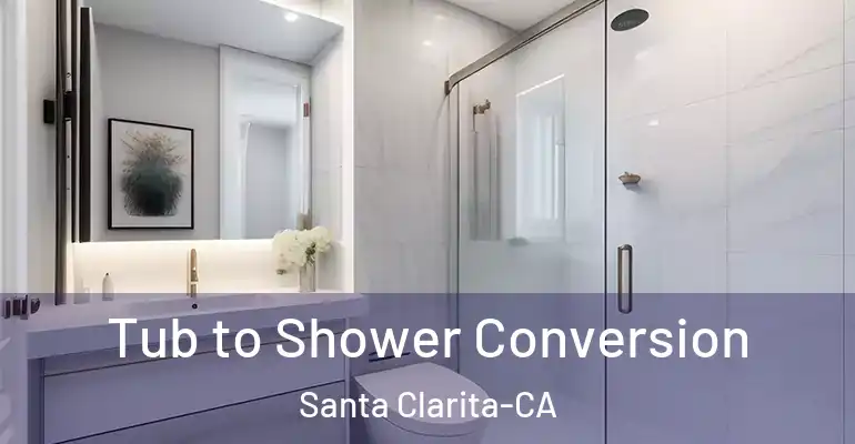 inner Bathroom imggen Tub to Shower Conversion Santa Clarita-CA