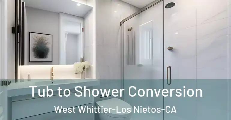 inner Bathroom imggen Tub to Shower Conversion West Whittier-Los Nietos-CA