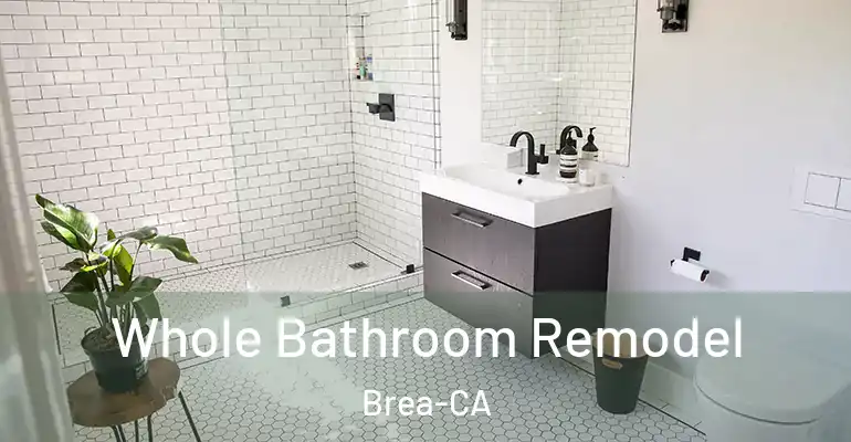 inner Bathroom imggen Whole Bathroom Remodel Brea-CA