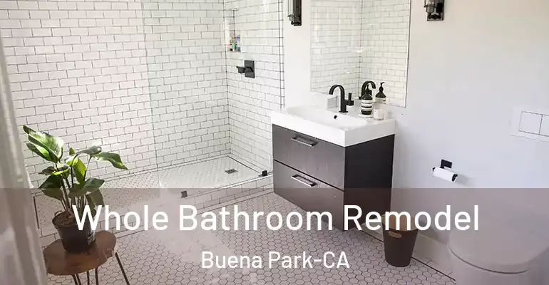 inner Bathroom imggen Whole Bathroom Remodel Buena Park-CA