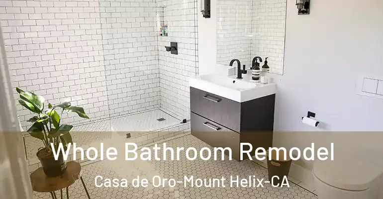 inner Bathroom imggen Whole Bathroom Remodel Casa de Oro-Mount Helix-CA
