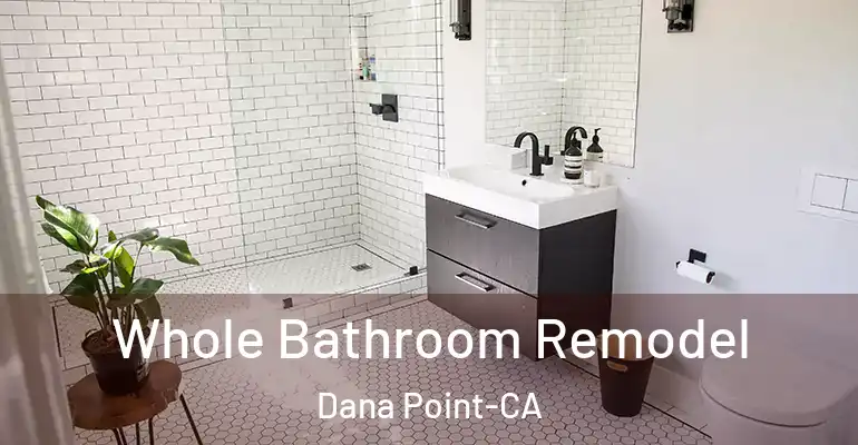 inner Bathroom imggen Whole Bathroom Remodel Dana Point-CA