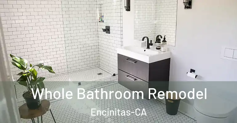 inner Bathroom imggen Whole Bathroom Remodel Encinitas-CA