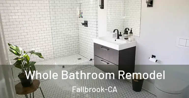 inner Bathroom imggen Whole Bathroom Remodel Fallbrook-CA