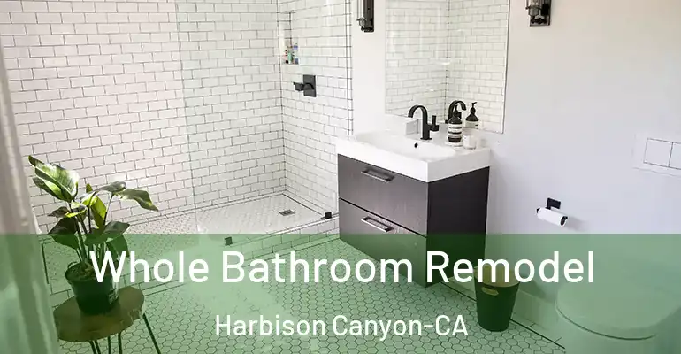 inner Bathroom imggen Whole Bathroom Remodel Harbison Canyon-CA